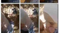 فيلم جزائرية محجبه تمص زب وشرب لبن عشيقها في الغابة
